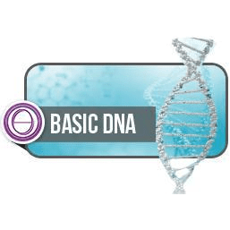 ThetaHealing® DNA Base Online SERALE