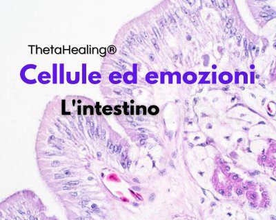 Cellule ed emozioni: l'intestino