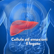 Cellule ed emozioni: il fegato